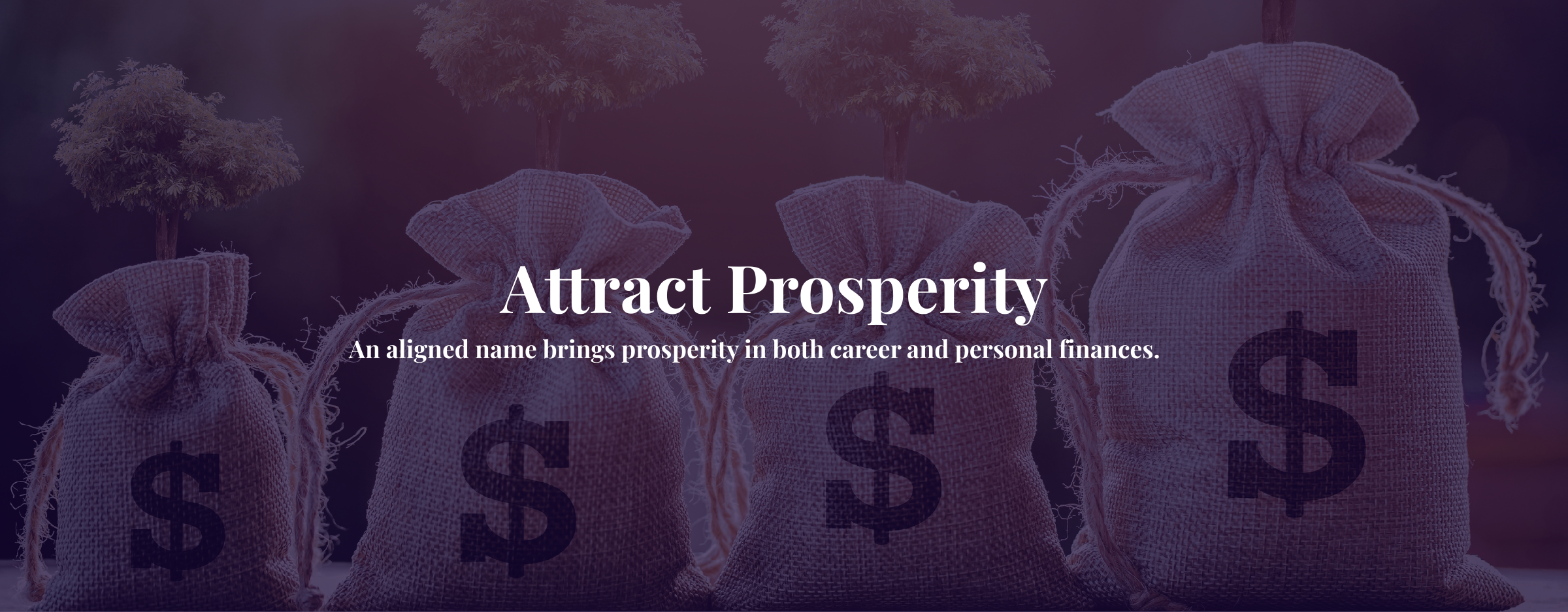 Attract Prosperity